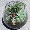 Terrarium